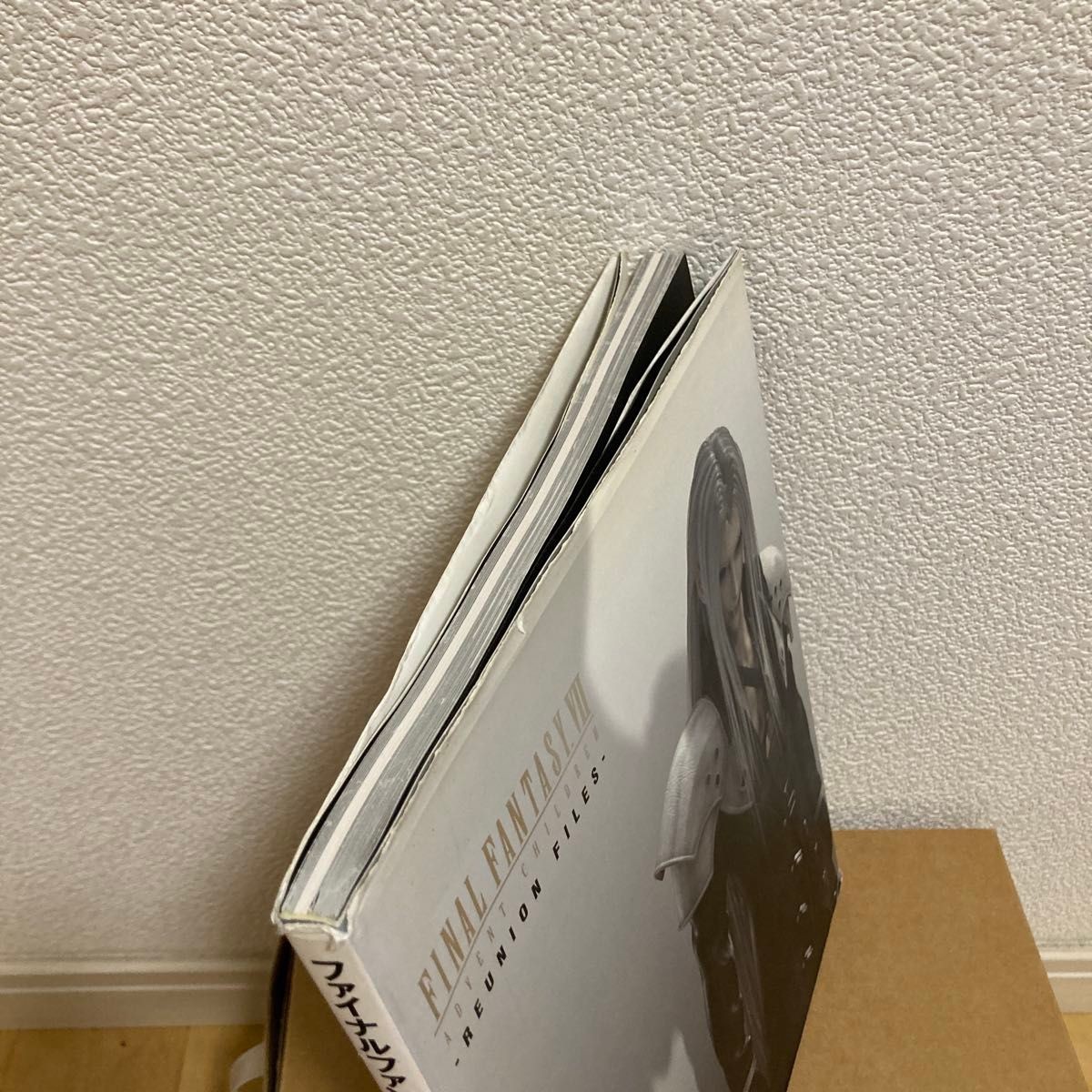 Final Fantasy VII Advent Children Reunion Files Art Book Japanese Japan