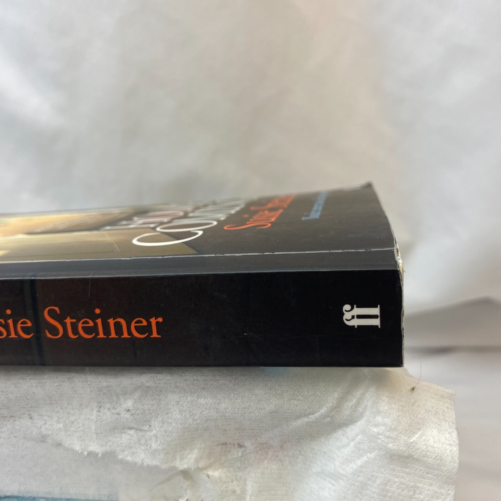 Home Coming By Susie Steiner- Paperback