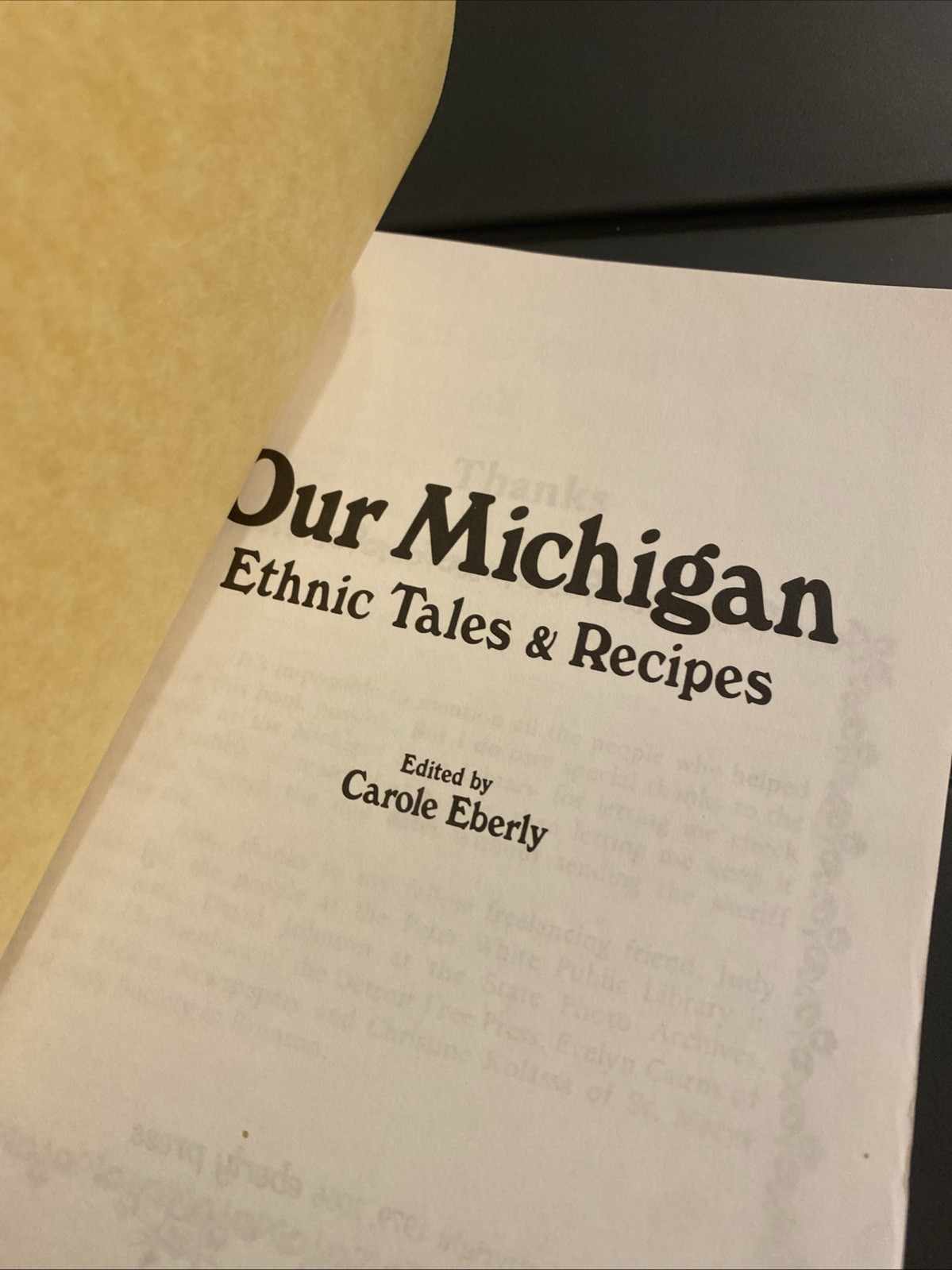 Our Michigan MI Ethnic Tales & Recipes Carole Eberly PB 2006 Czech Norwegian