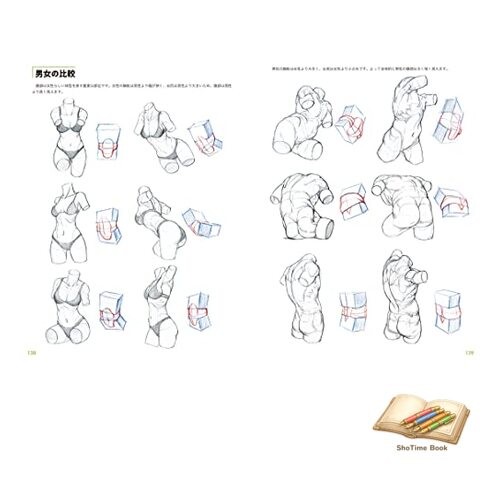 Book Master Guide to Drawing the Human Body: Learn Character Drawing Used
