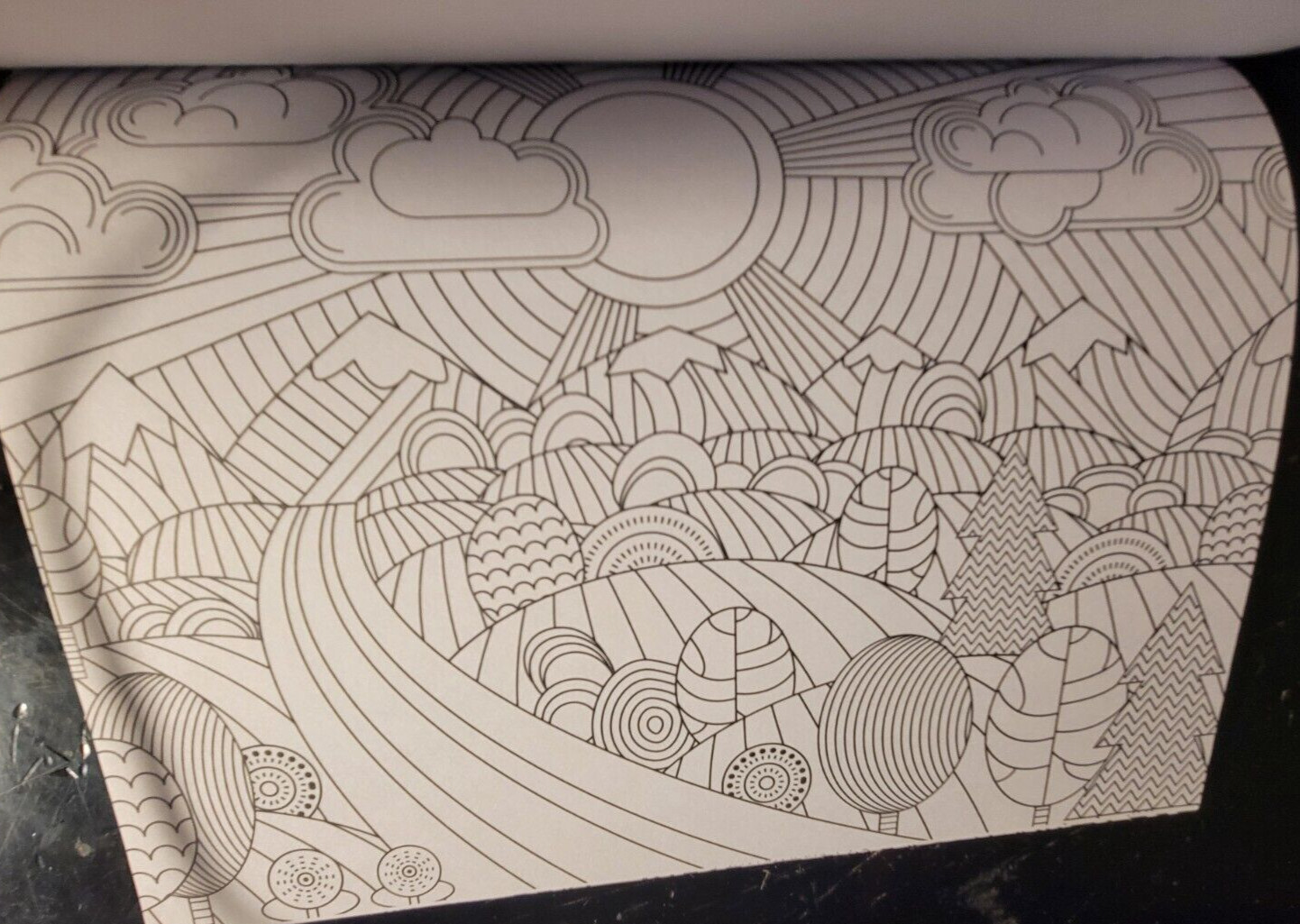 COLOR ME MAGNIFICENT Vol 11 Adult Coloring Book With 47 Prints Ready To Frame