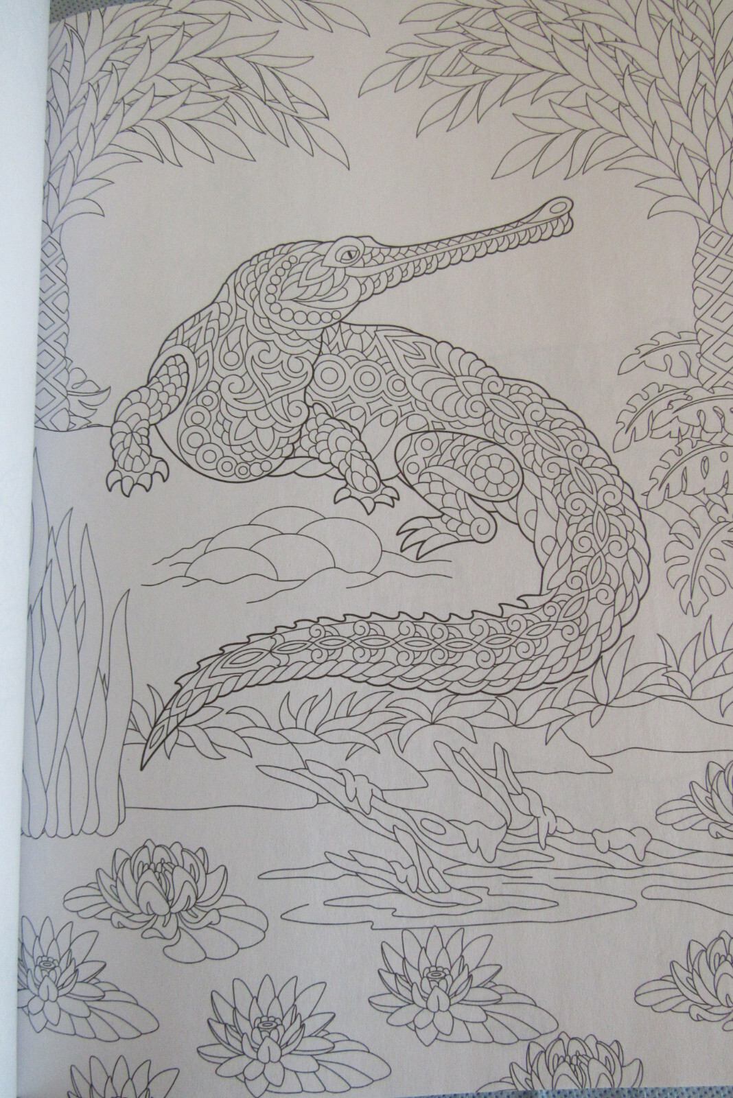 Kaleidoscope Coloring Book Majestic Creatures 47 Prints Ready To Frame Vol 25