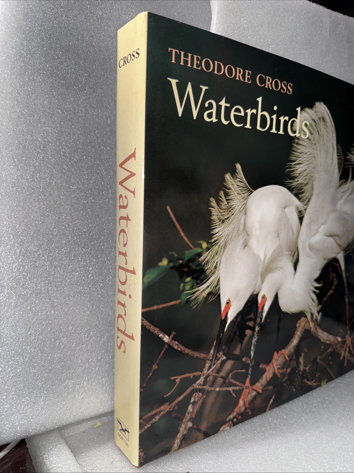 Waterbirds by Theodore Cross