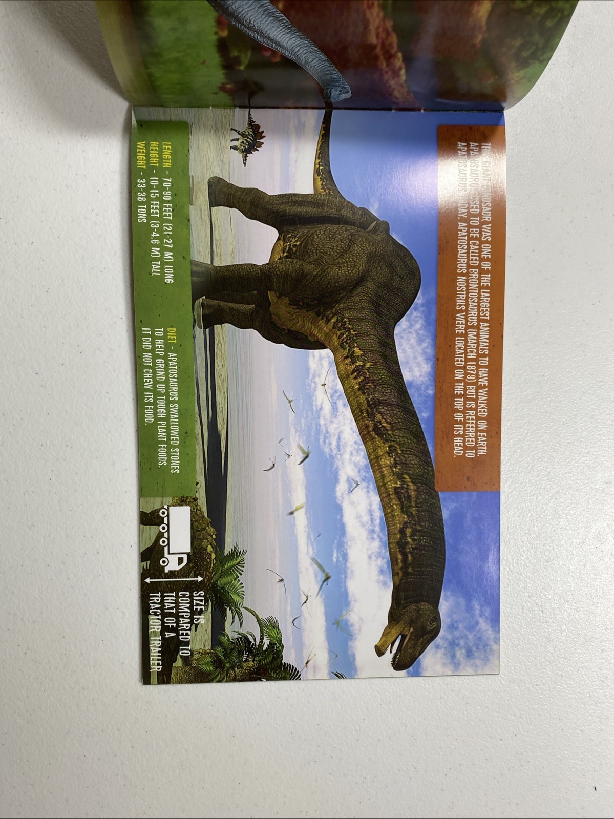 The Prextex Book of Dinosaurs Staple Bound Paperback Book (book only) (24 pages)