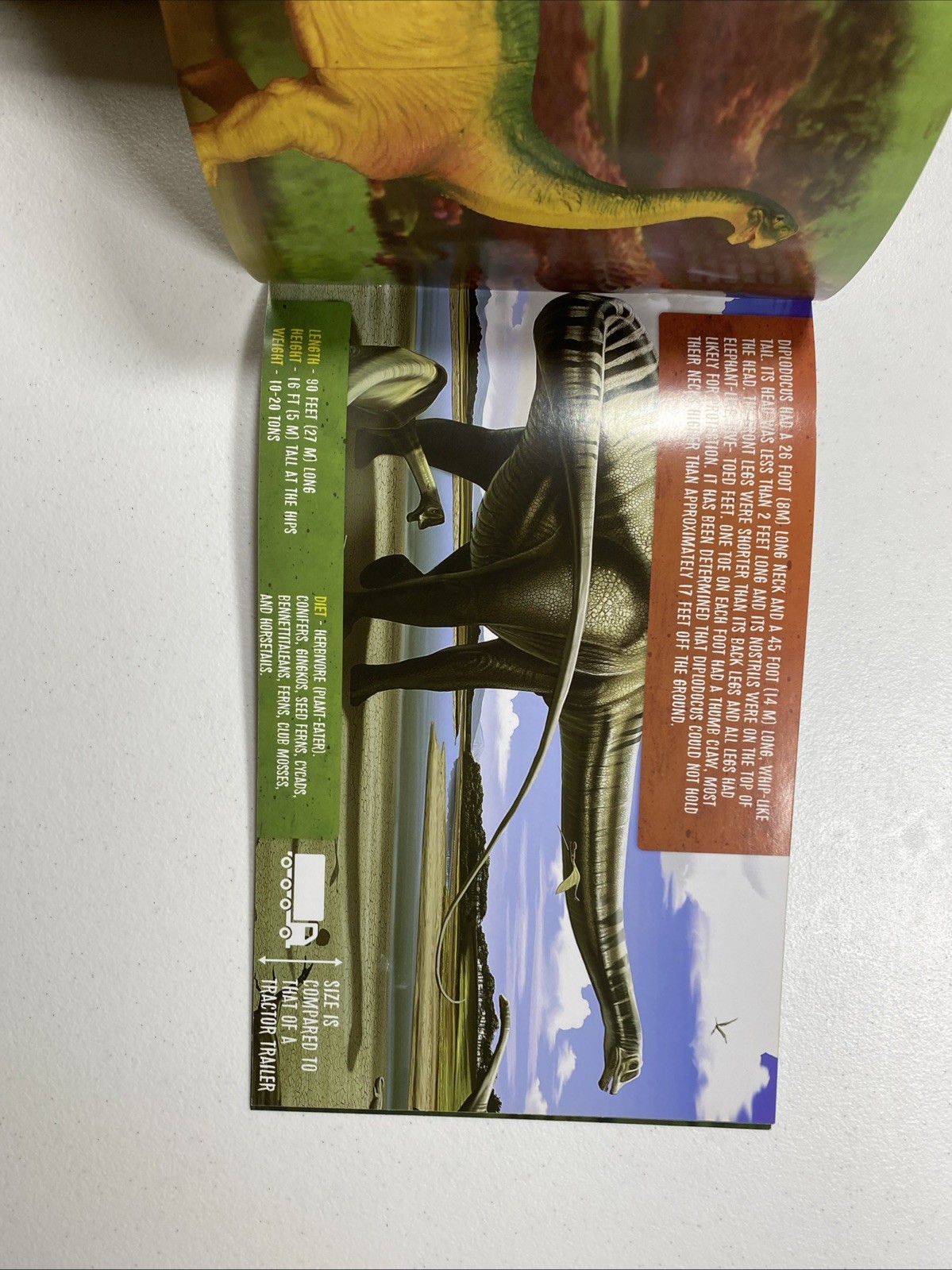 The Prextex Book of Dinosaurs Staple Bound Paperback Book (book only) (24 pages)
