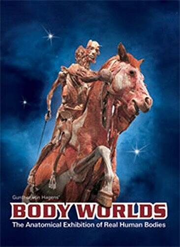 Body Worlds The Original Exhibition of Real Human Bodies – Catalog – VERY GOOD