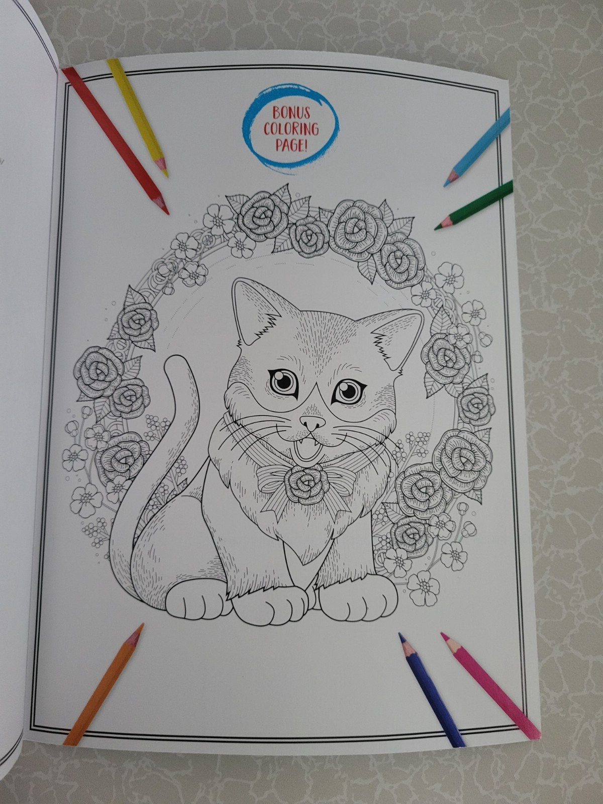 CAT COLORING ADULT COLORING BOOK – 2023 CENTENNIAL – 32 Inspiring Designs