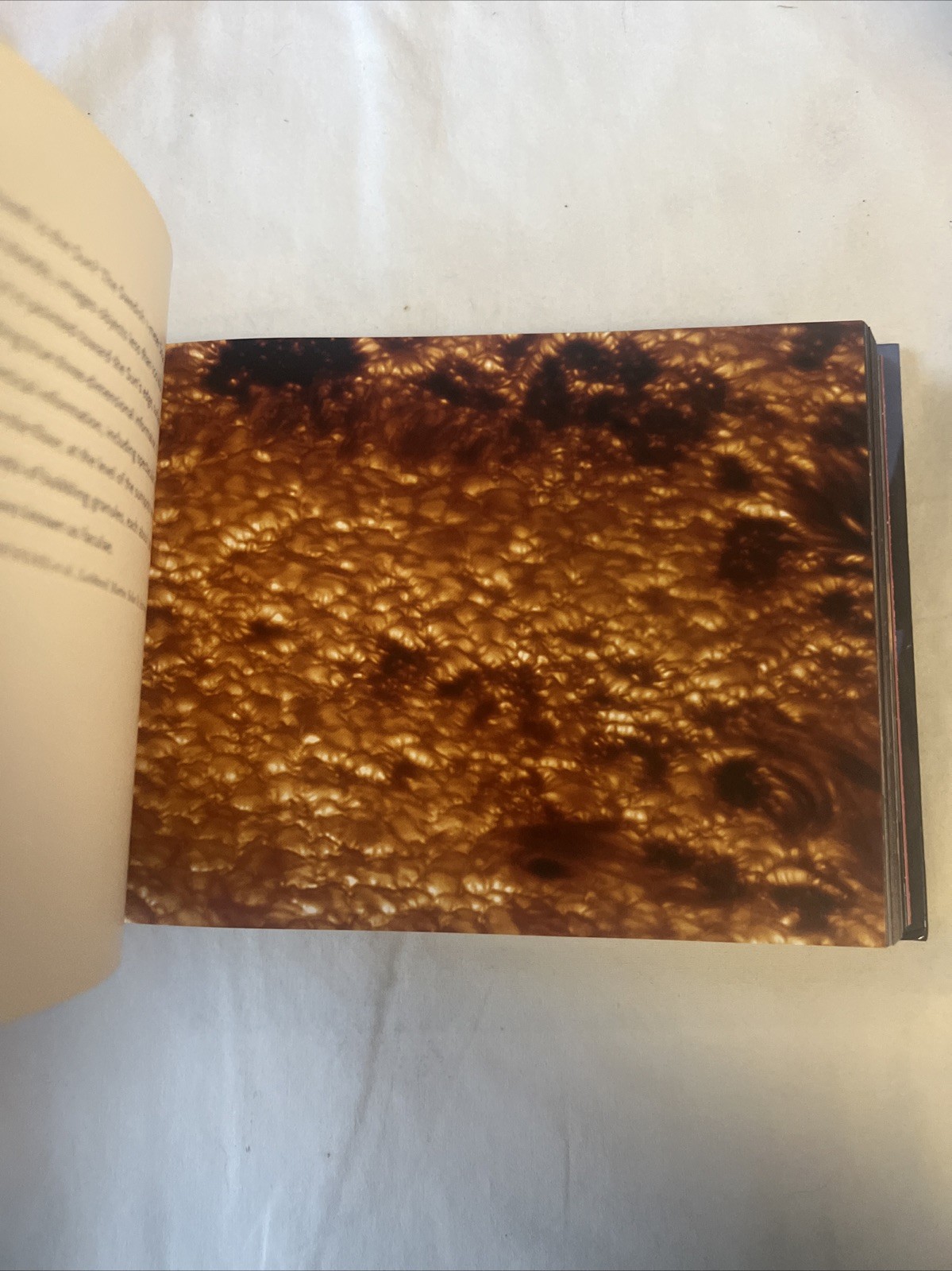 Astronomy: 365 Days – Hardcover By Bonnell, Jerry T. – Great Cond Big Book