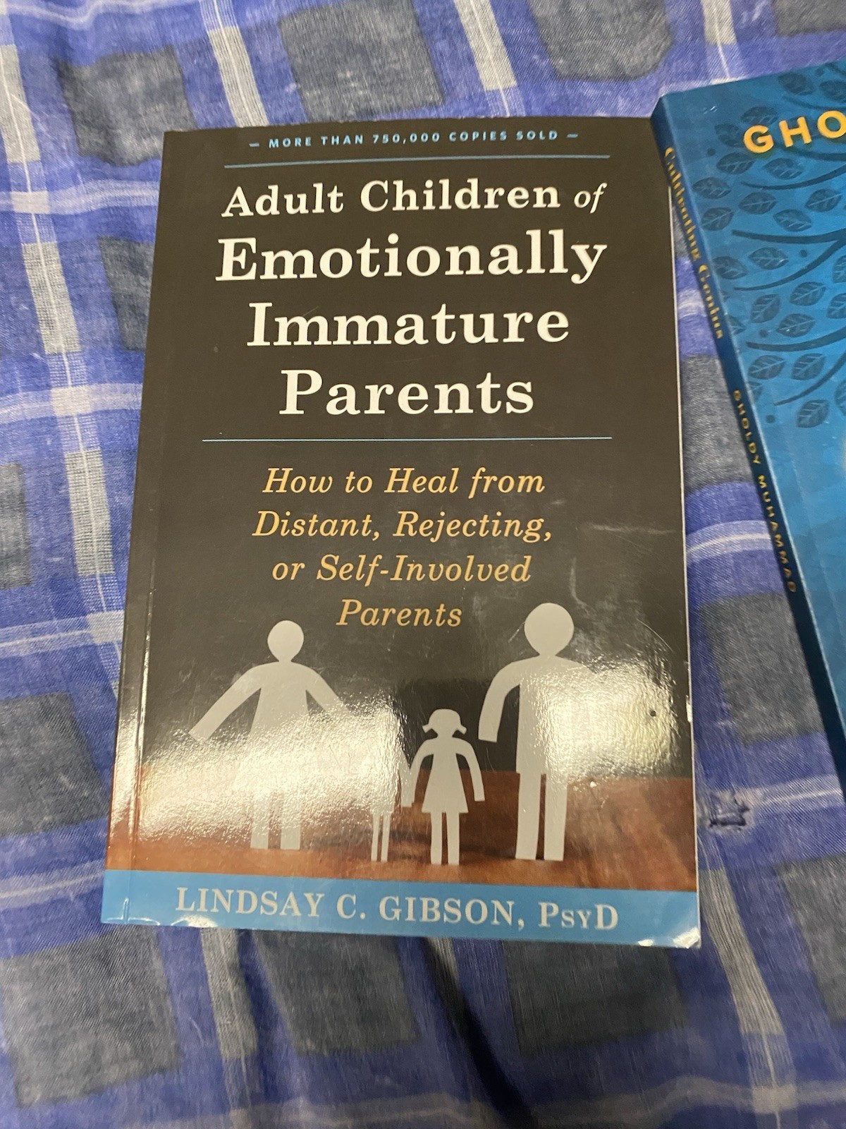 Adult Children of Emotionally Immature Parents by Lindsay C. Gibson Paperback