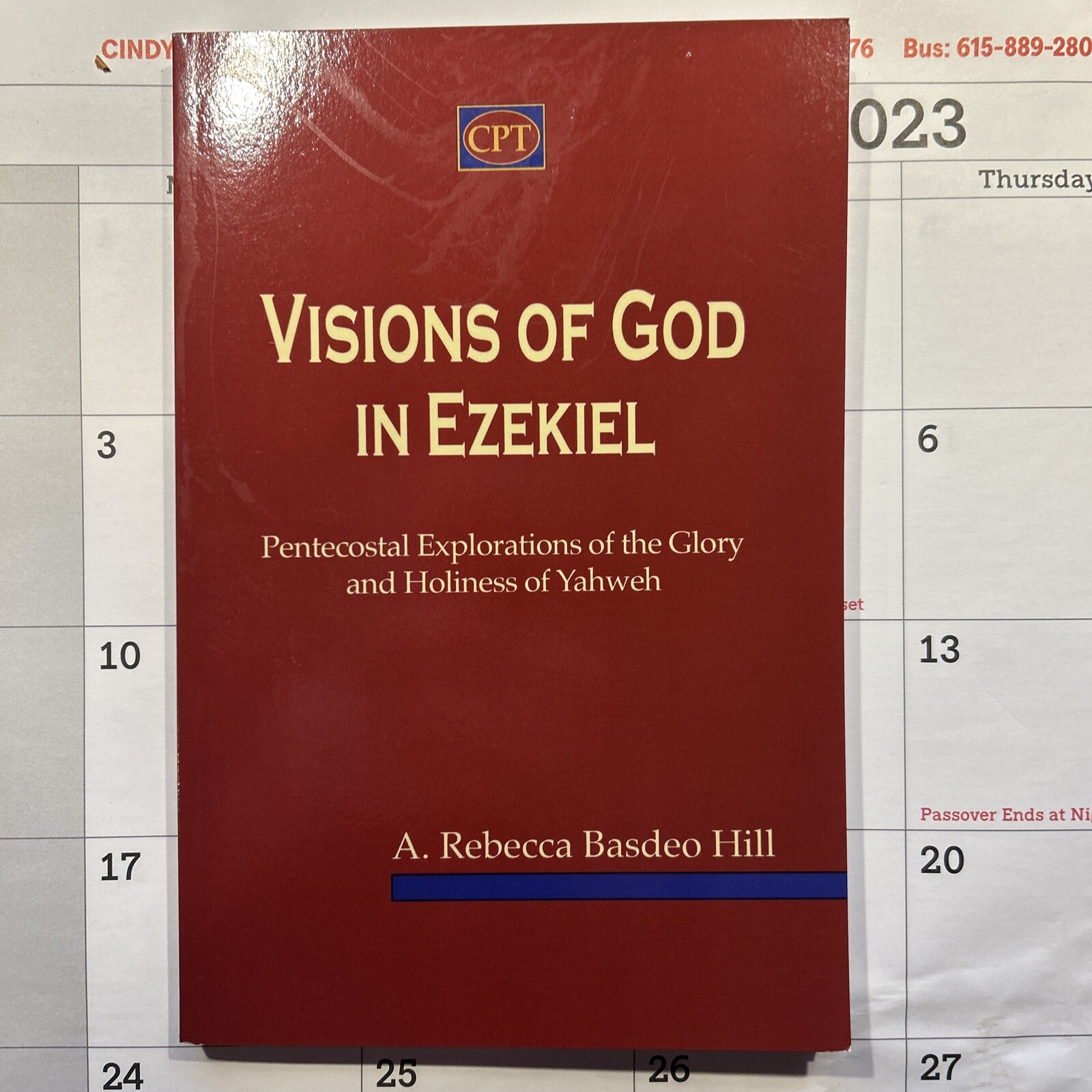 Visions of God in Ezekiel – A. Rebecca Basdeo Hill – 2019 – 194 pages