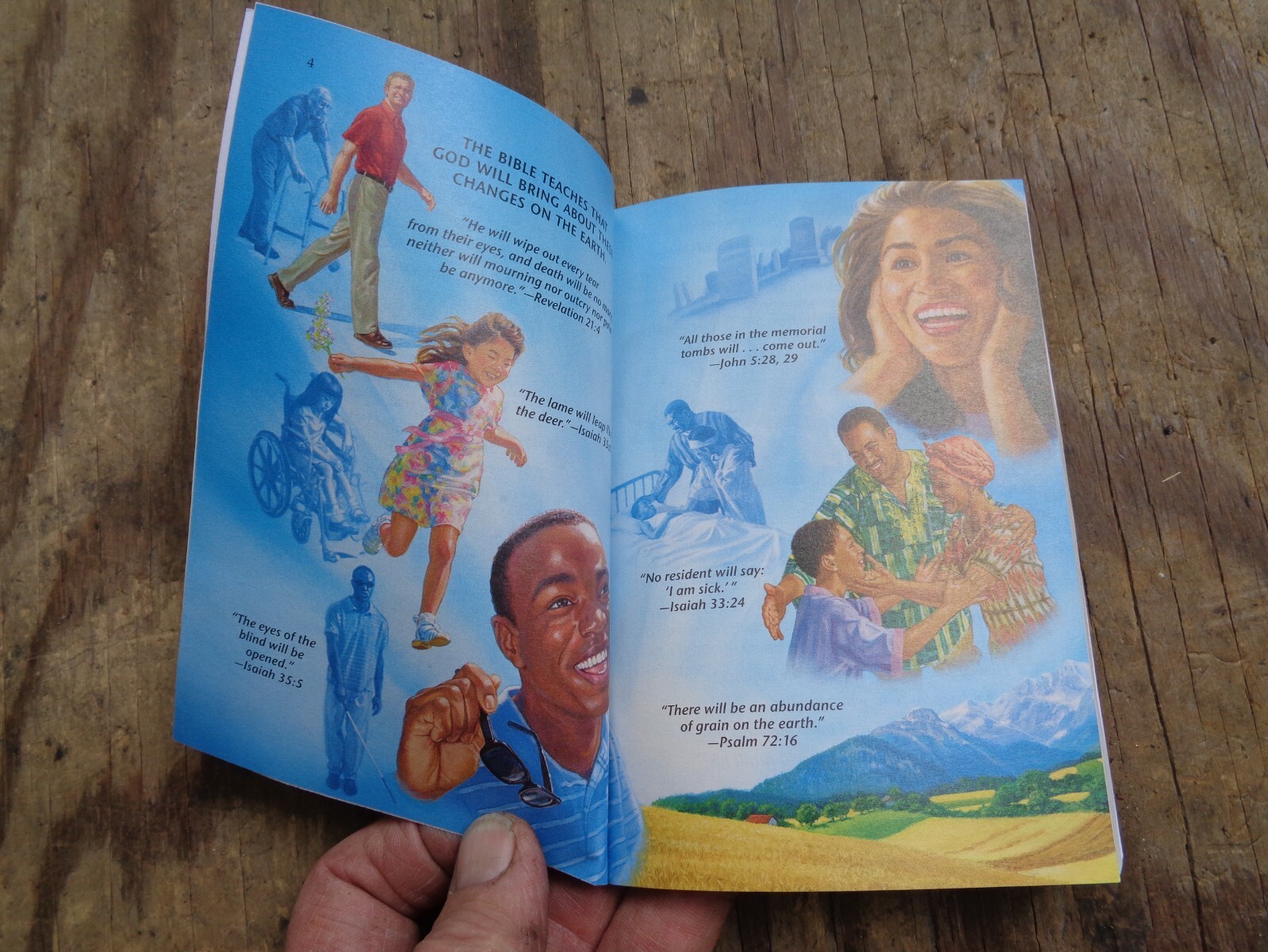 “WHAT DOES THE BIBLE REALLY TEACH?”. 2016. 223 pages. Paperback. Watchtower