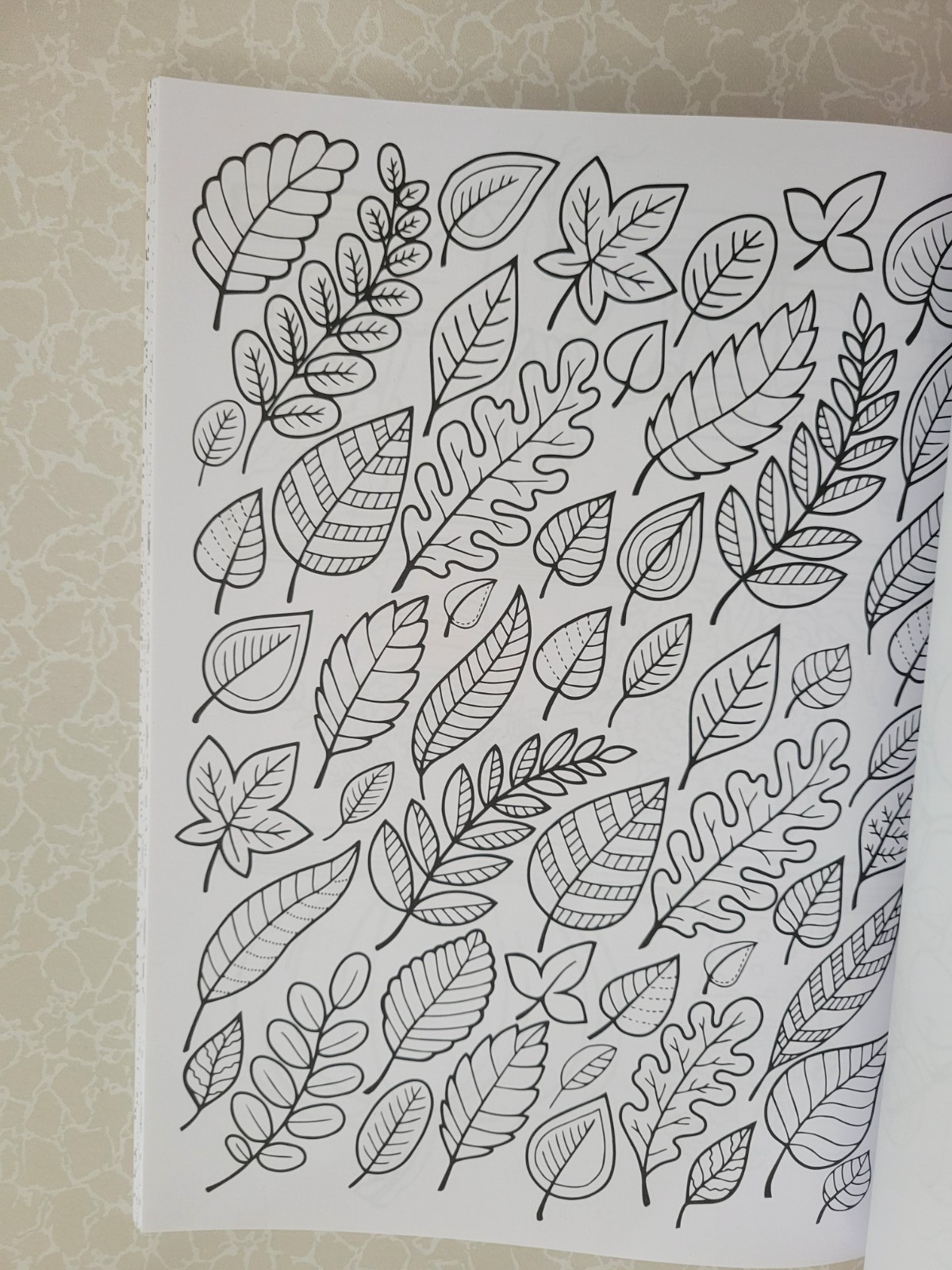 Harvest Home ADULT COLORING BOOK – Color Creatives -62 Designs Easing Stress Fun