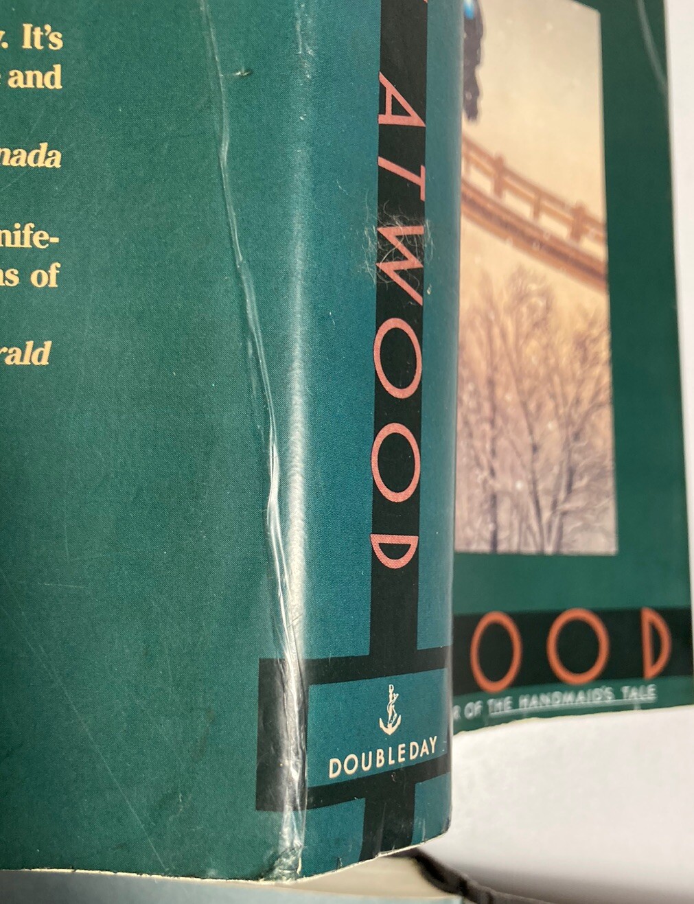 “Cat’s Eye” MARGARET ATWOOD 1st edition 1st print 1989 HARDCOVER Doubleday DJ