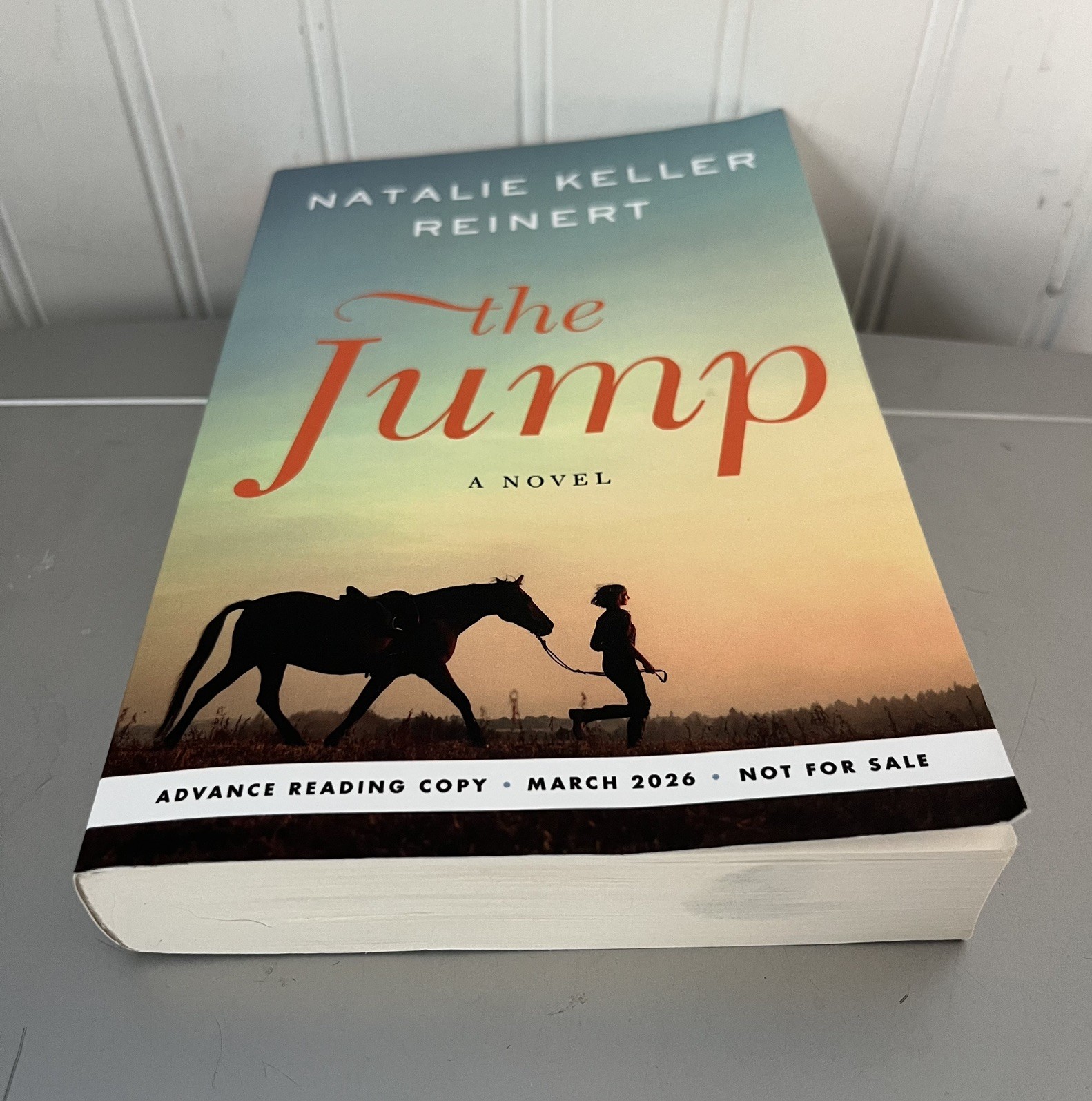The Jump, NATALIE KELLER REINERT. ARC
