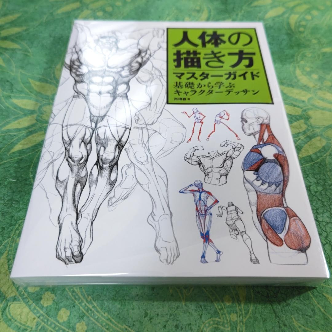 Master Guide to Drawing the Human Body Character Drawing From The Basics Book