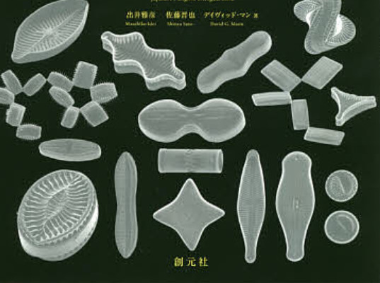 Amazing World of Diatoms Photobook Microscopic Art Visual Book 8.3 x 5.9 inches