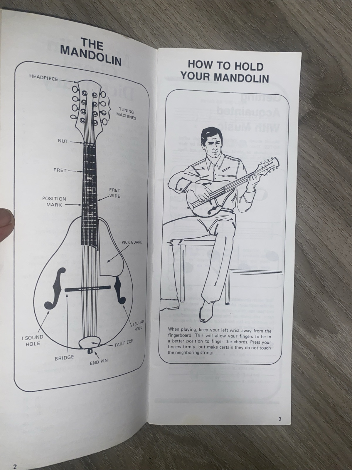 Mandolin Chord Dictionary : Handy Guide by Morton Manus (1978, Trade Paperback)