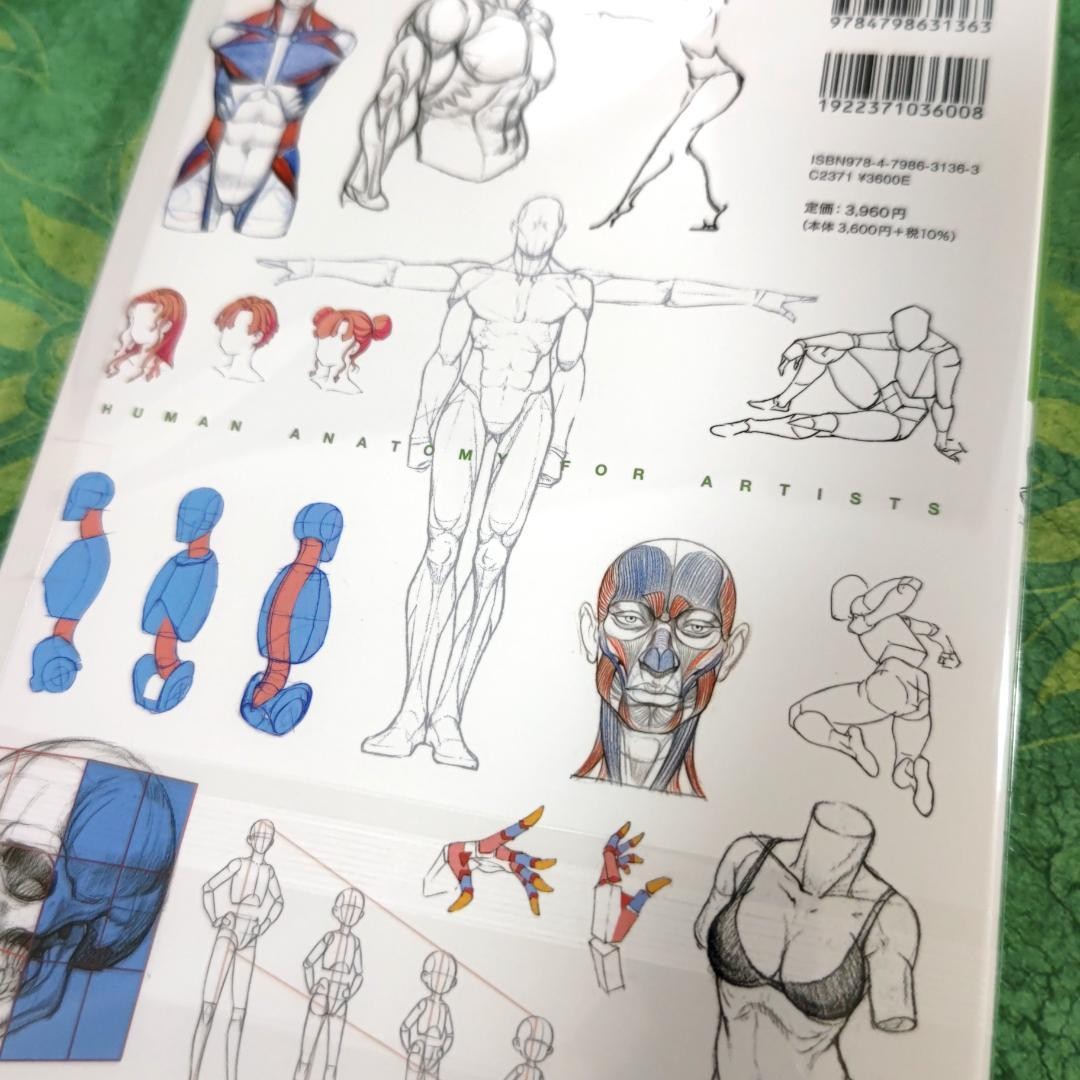 Master Guide to Drawing the Human Body Character Drawing From The Basics Book