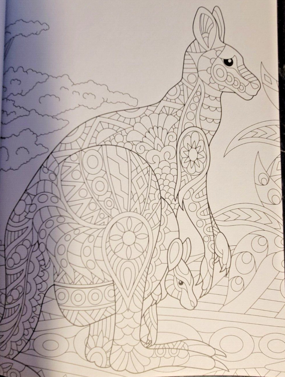 MAGNIFICENT CREATURES Vol 21 – Adult Coloring Book by TOPIX MEDIA – 47 PRINTS