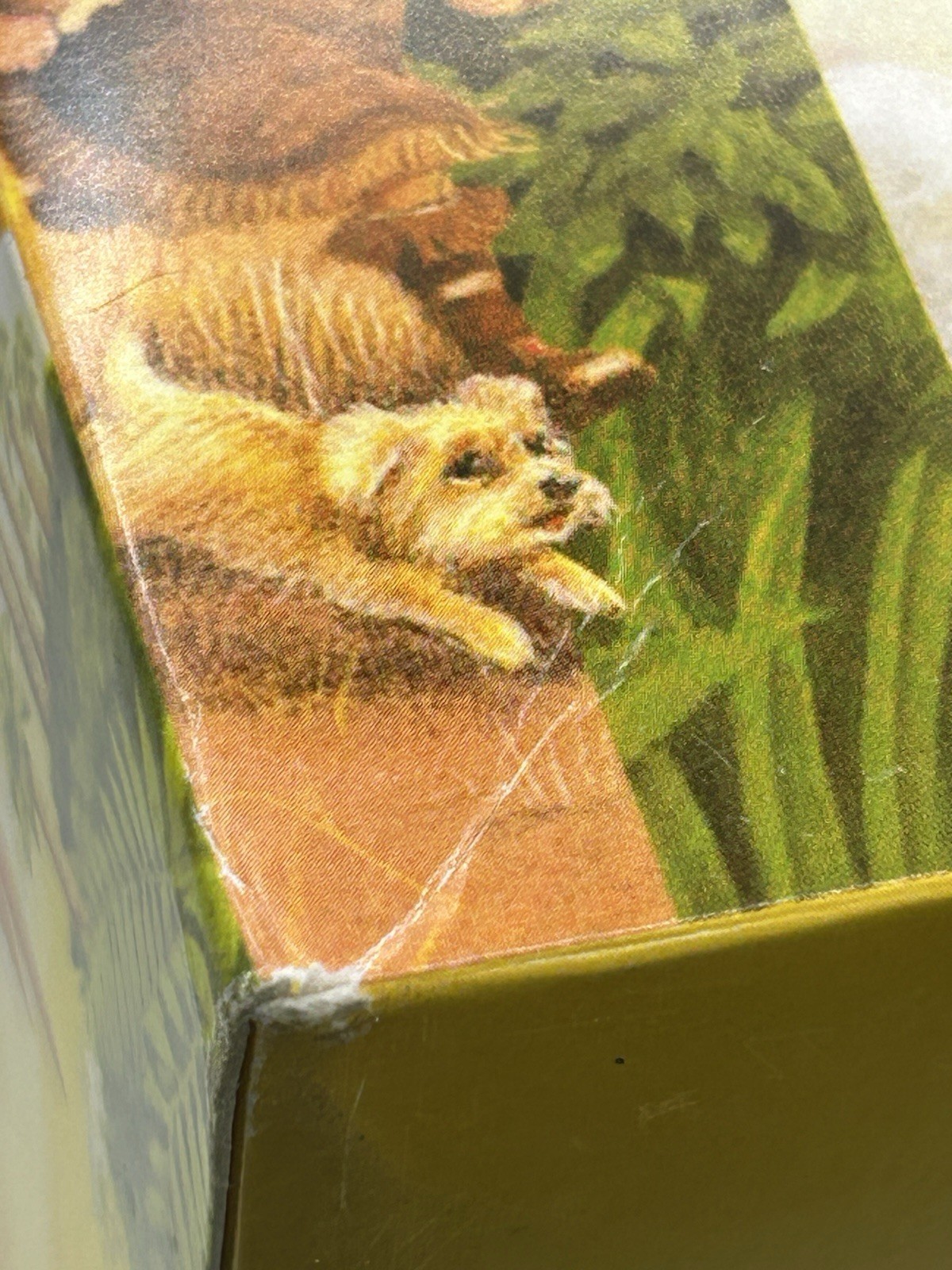 Magic Tree House Books 1-28 Boxed Set by Mary Pope Osborne (2008) English