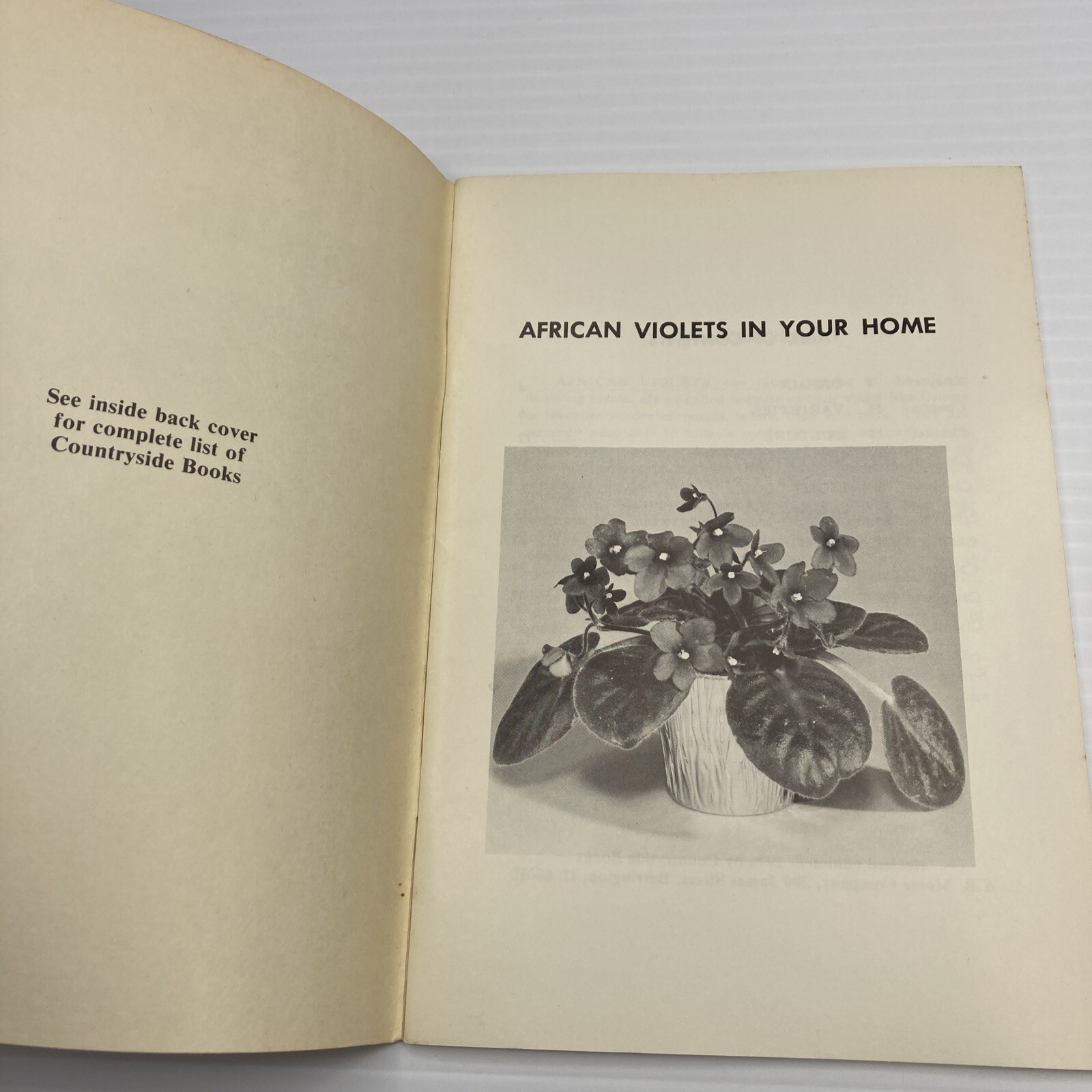 African Violets Countryside Books 1976 Vintage Flower Guide Booklet