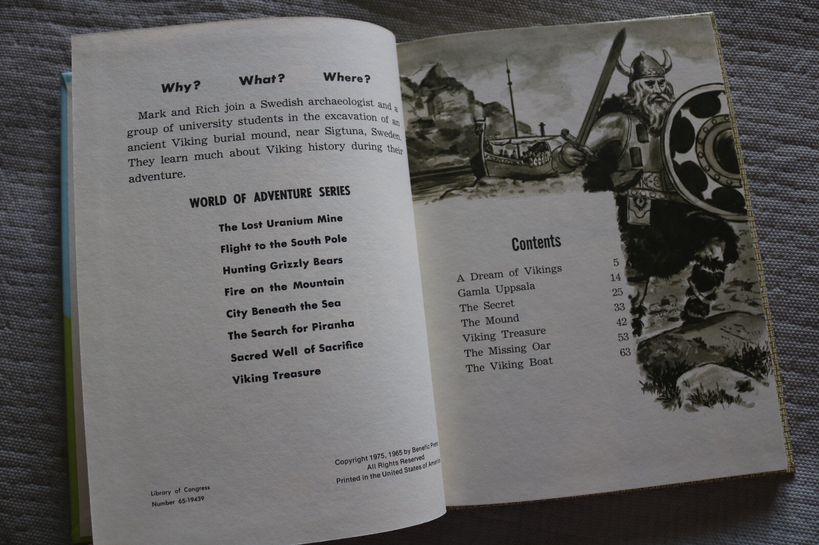 Viking Treasure hardback book by Henry Bamman and Robert Whitehead benefic press
