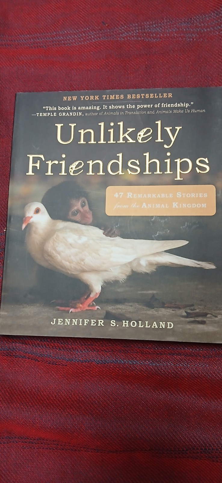 Unlikely Friendships ~ Jennifer S. Holland ~ Workman Softcover