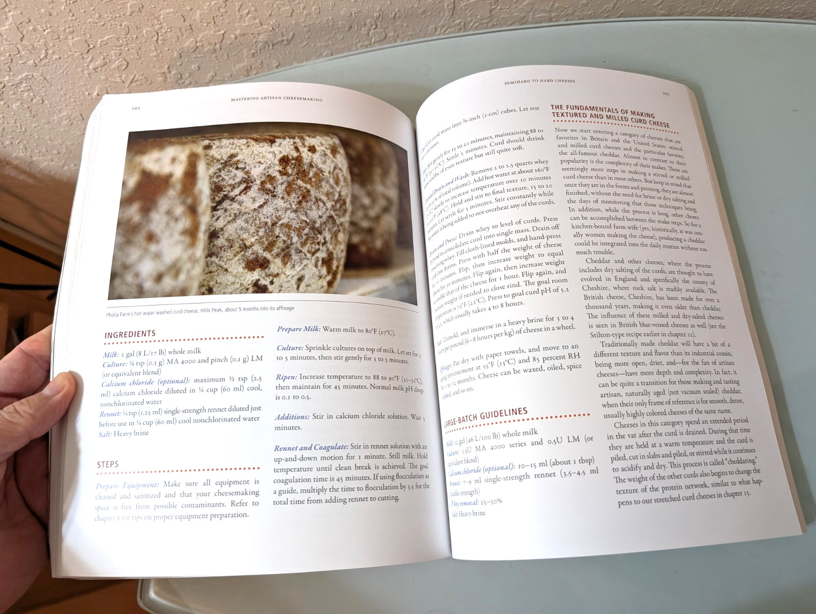 USED Mastering Artisan Cheesemaking: The Ultimate Guide Home Gianaclis Caldwell