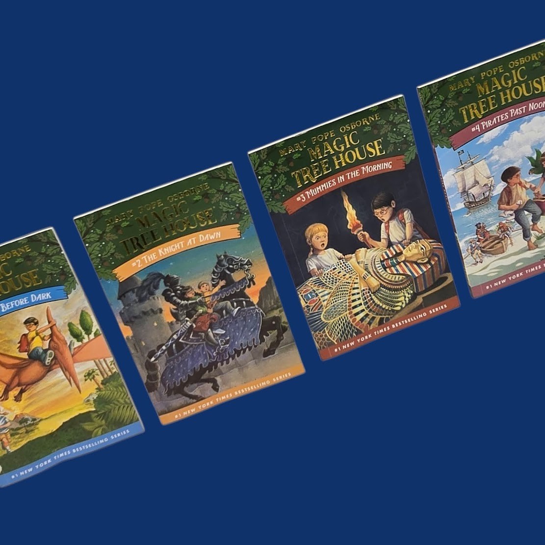Set 3A: Magic Tree House A Library of Books 1-28 – Mary Pope Osborne Collection