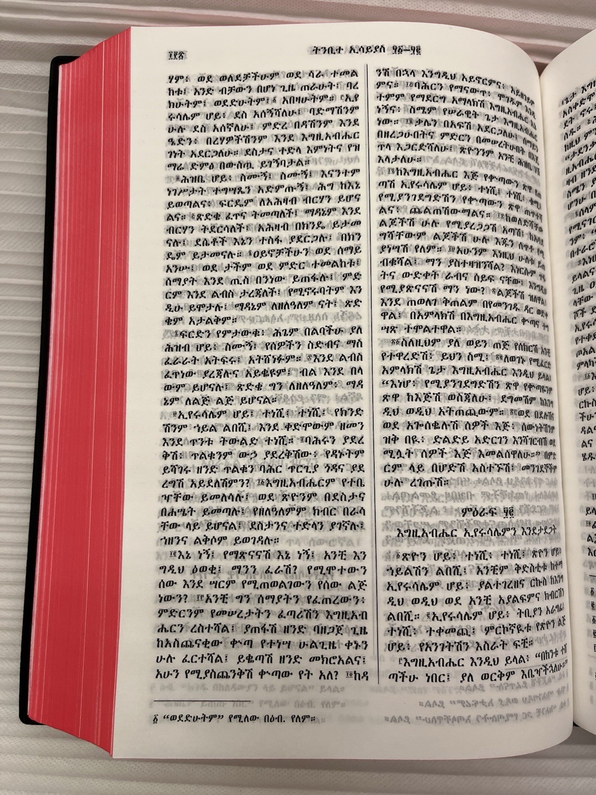Ethiopian Orthodox Amharic Bible የኢትዮጵያ ኦርቶዶክስ ቤ/ክርሰቲያን መፅሐፍ ቅዱስ 81 አሐዱ .