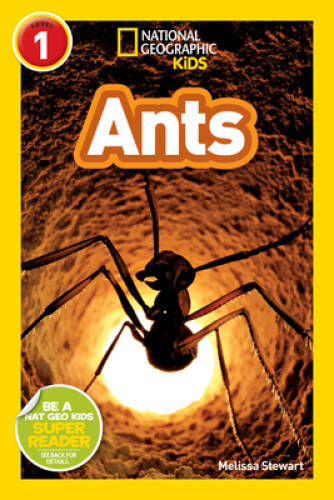 National Geographic Readers: Ants – Paperback By Stewart, Melissa – GOOD