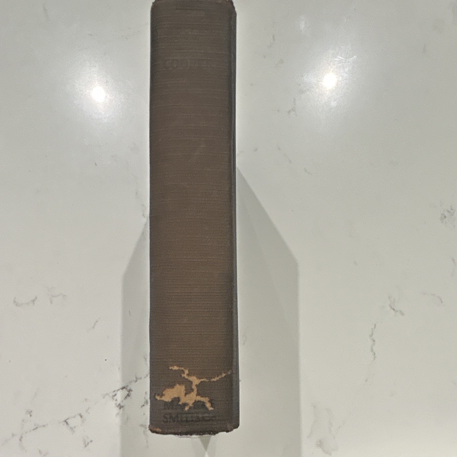 J. Fenimore Cooper The Deerslayer Hardcover Fiction Novel Action Adventure YA