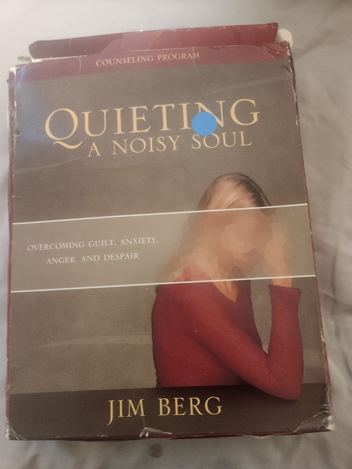 Quieting a Noisy Soul Individual Kit by Not Available (Other)