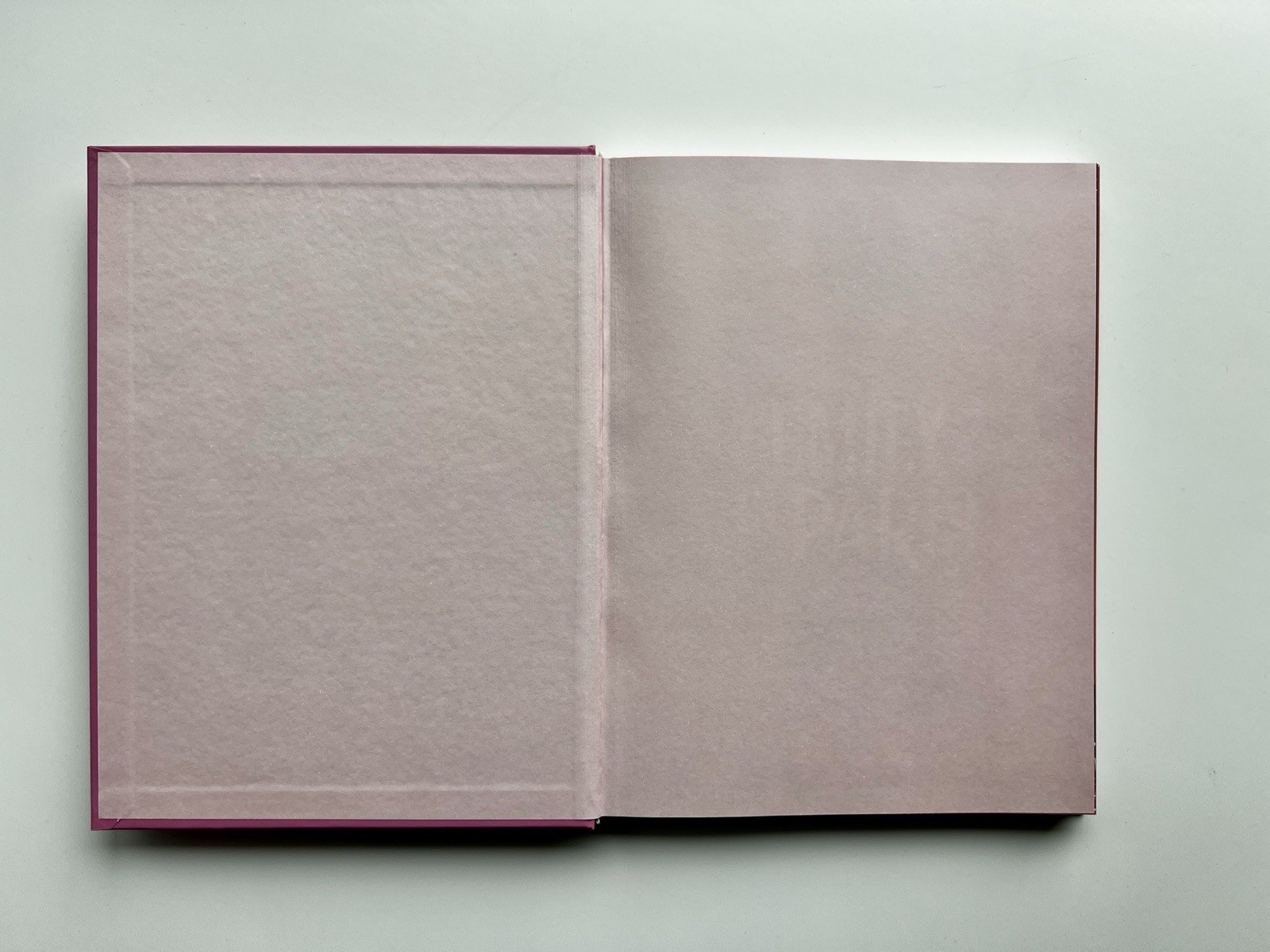 Emily in Paris: The Official Authorized Companion, First Edition Hardback New