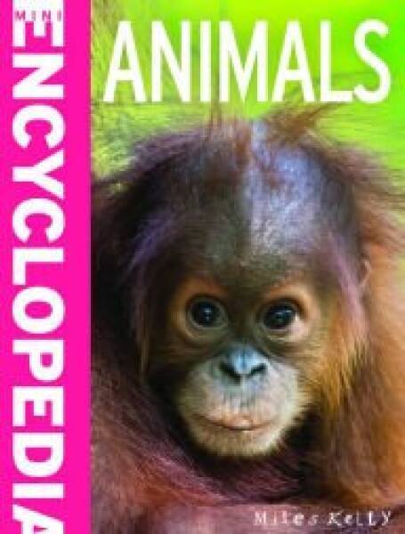 Animals Mini Encyclopedia – Paperback By Miles Kelly – GOOD