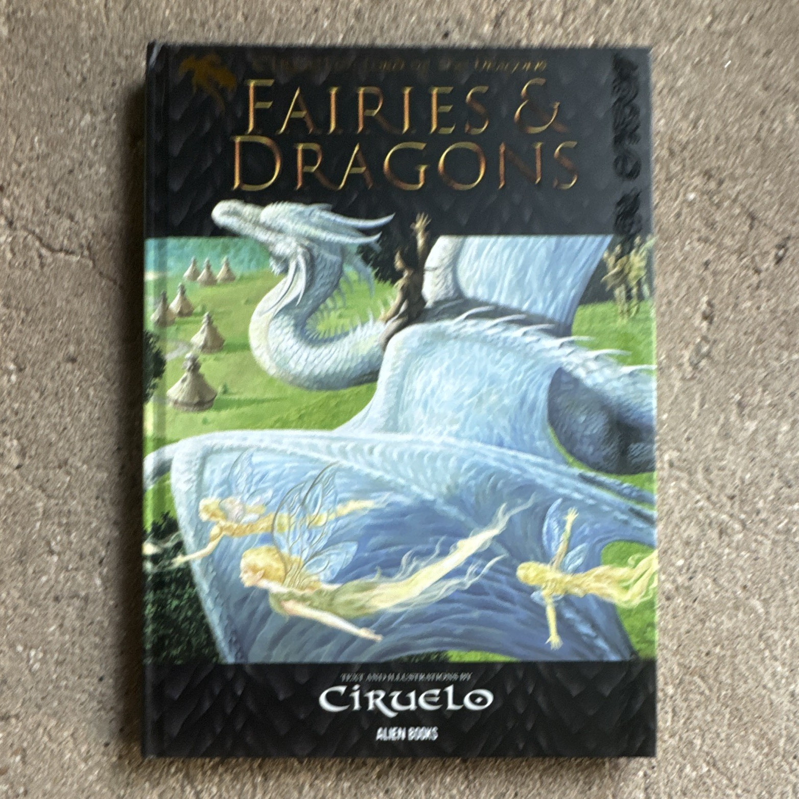Ciruelo Fairies & Dragons HC Illustrated 1st Ed 2001 Alien Books YA Fantasy