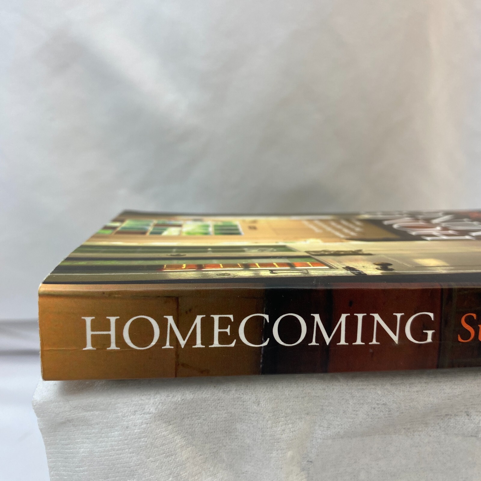 Home Coming By Susie Steiner- Paperback