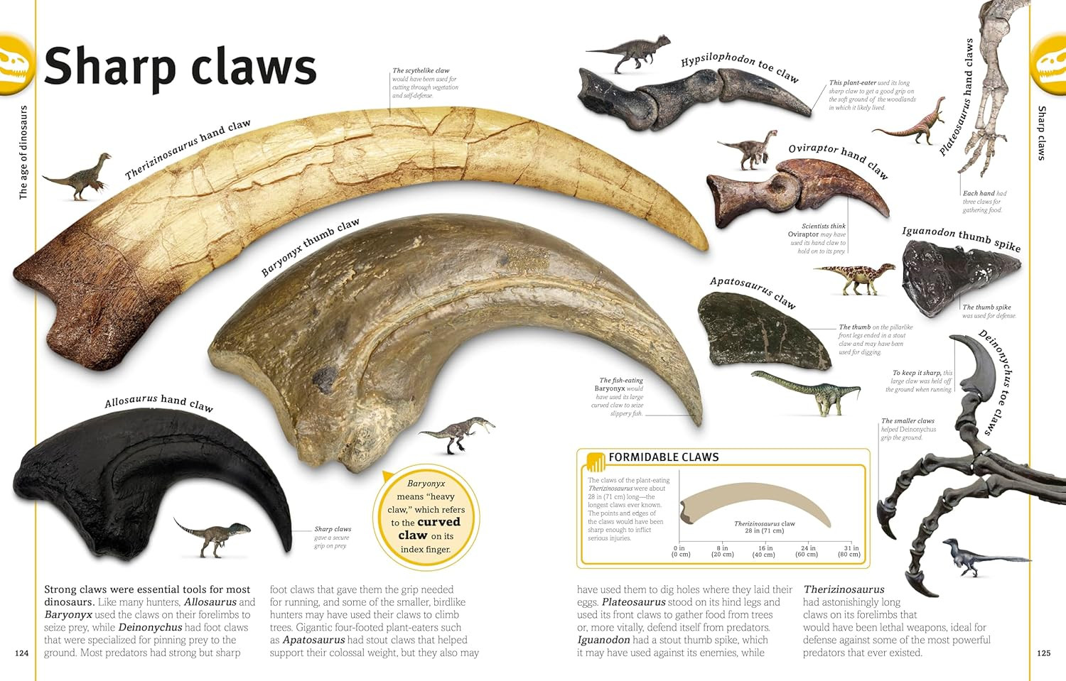 Our World in Pictures The Dinosaur Book