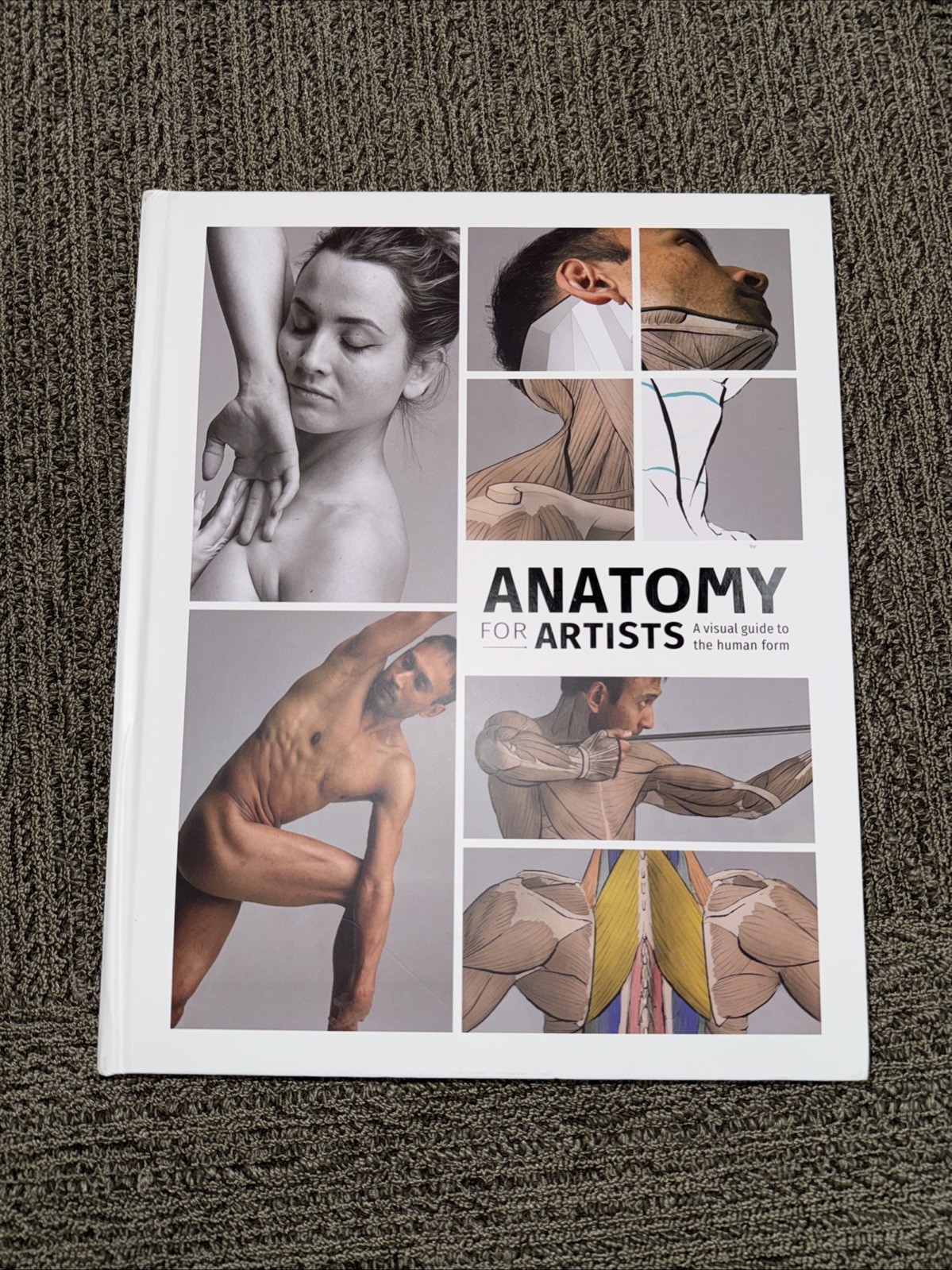 ANATOMY FOR ARTISTS: A VISUAL GUIDE TO THE HUMAN FORM By 3dtotal Publishing NEW