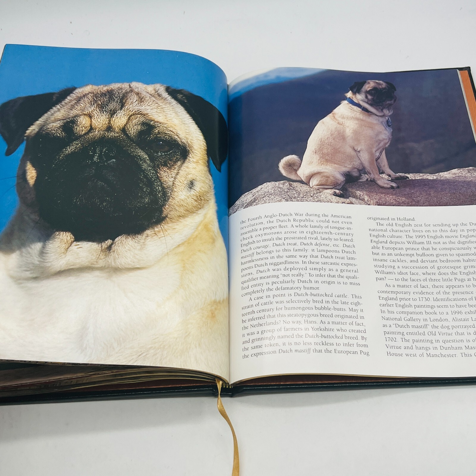 For The Love Of Pugs Book 1998 VTG Special Edition Robert Hutchinson EXC💥