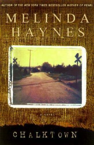 Chalktown : A Novel by Melinda Rucker Haynes (2001, Hardcover) NEW 1st edition