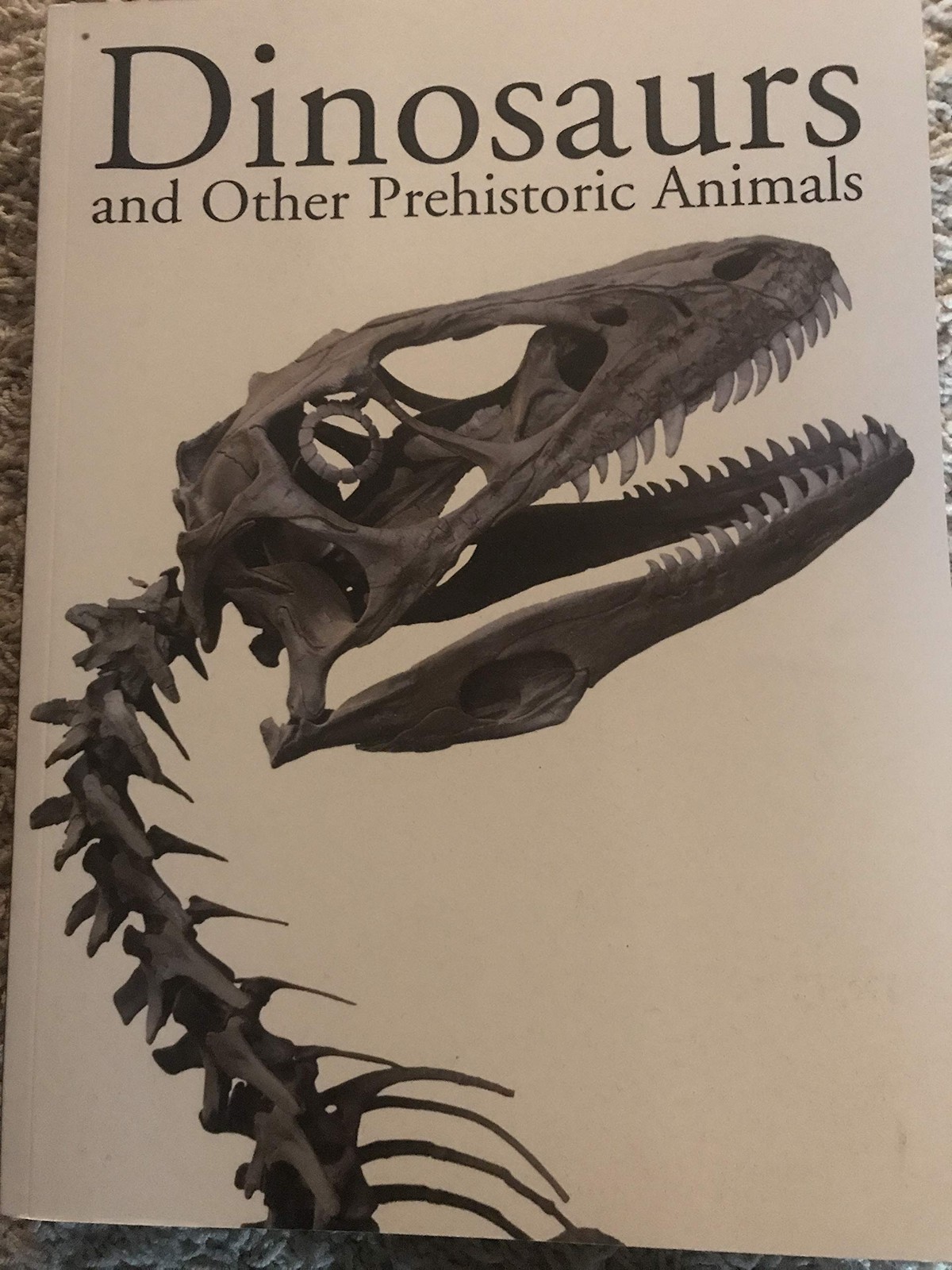DINOSAURS AND OTHE PREHISTORIC ANIMALS