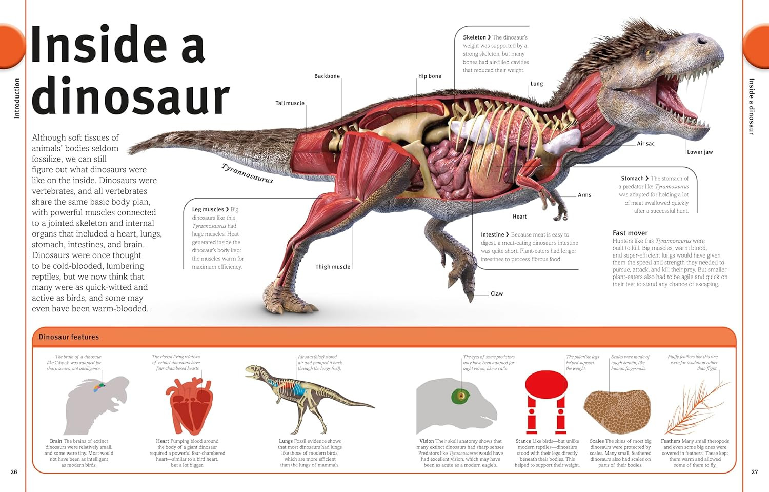 Our World in Pictures The Dinosaur Book