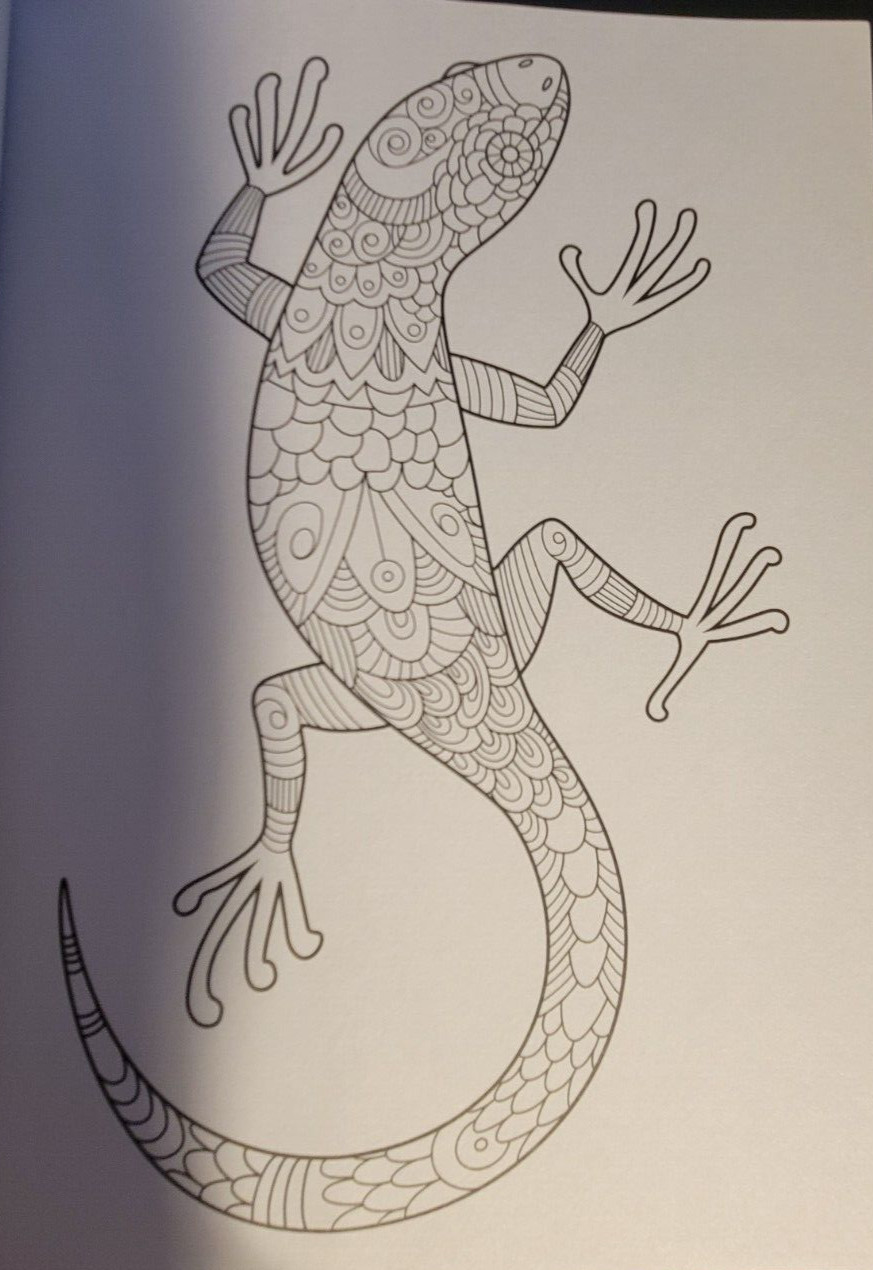 MAGNIFICENT CREATURES Vol 21 – Adult Coloring Book by TOPIX MEDIA – 47 PRINTS