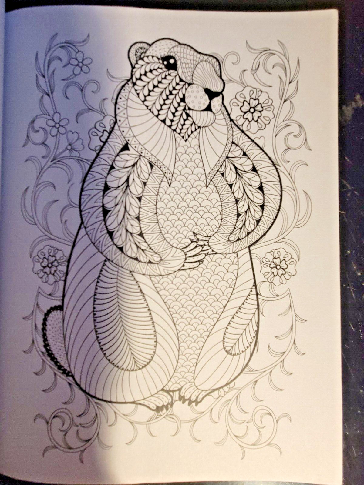 MAGNIFICENT CREATURES Vol 21 – Adult Coloring Book by TOPIX MEDIA – 47 PRINTS