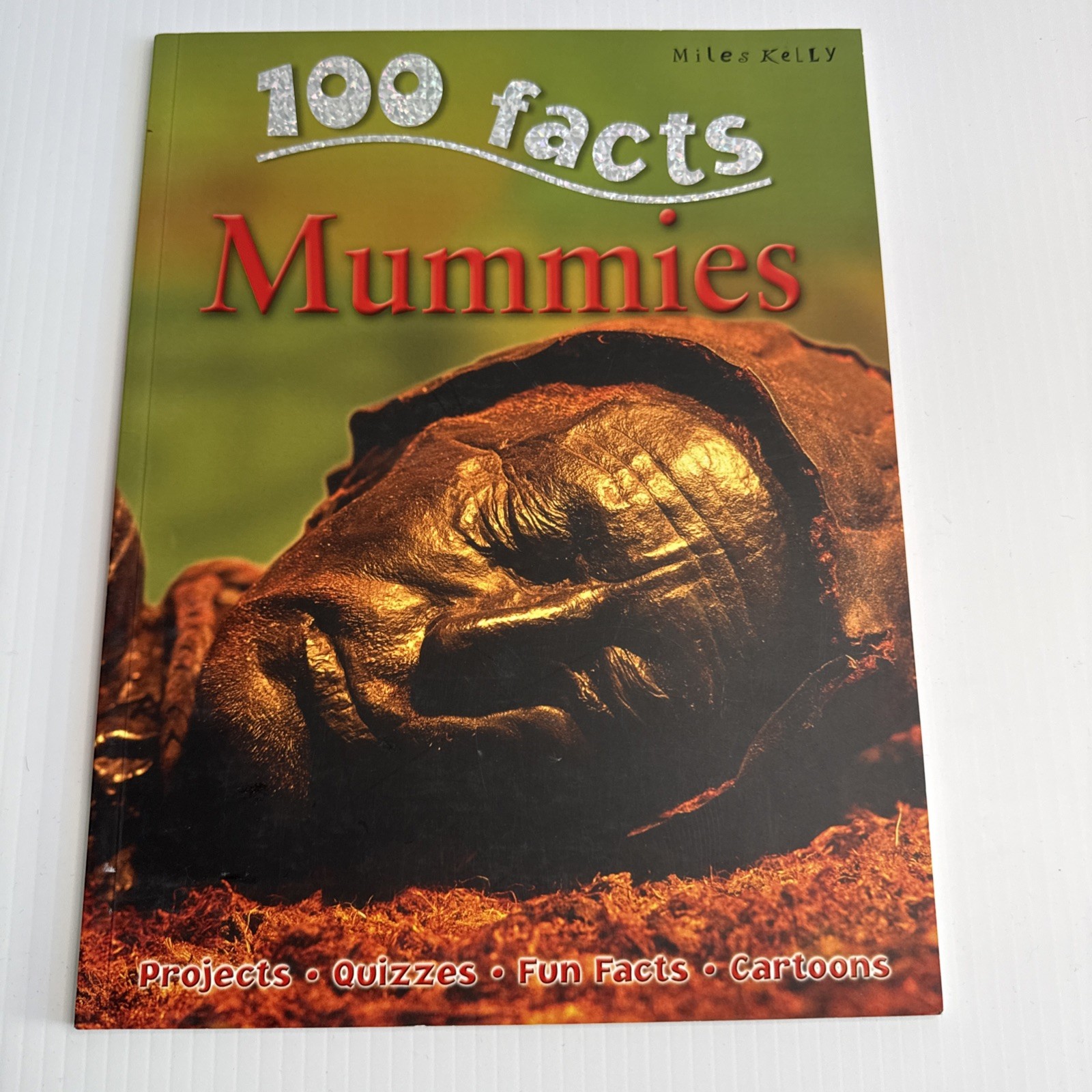 100 Facts Large Picture Book Lot 6 Miles Kelly Ages 7-11 Grades 1-5 Homeschool