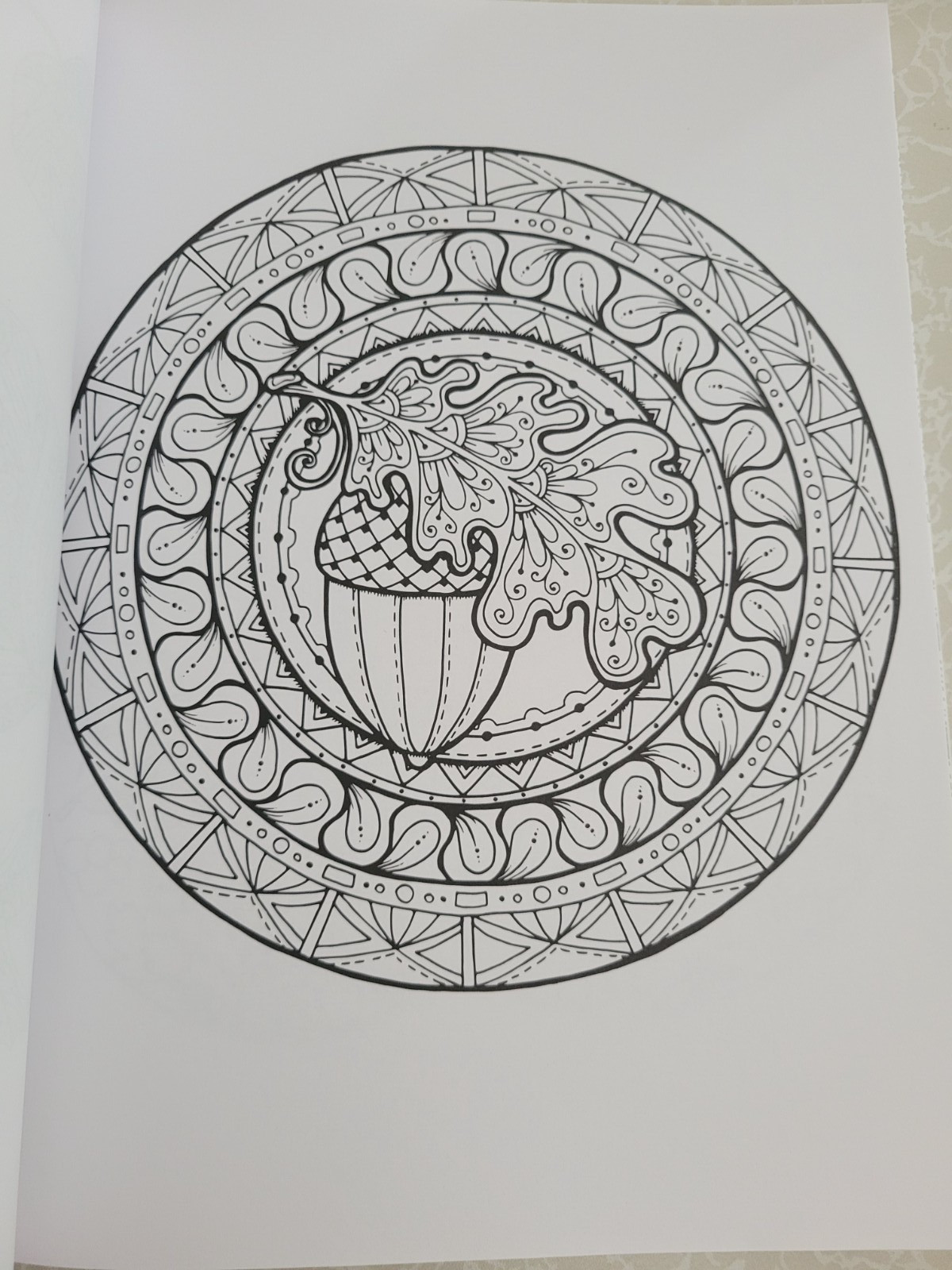 Harvest Home ADULT COLORING BOOK – Color Creatives -62 Designs Easing Stress Fun