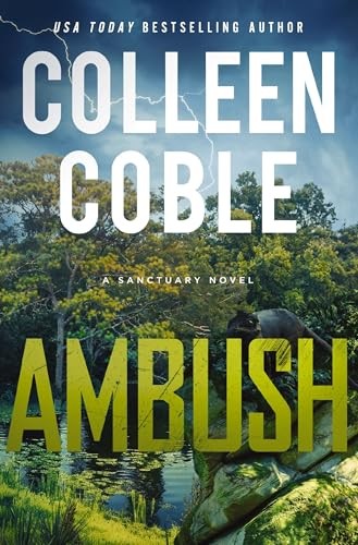 Ambush: A Small-Town Romantic – VERY GOOD