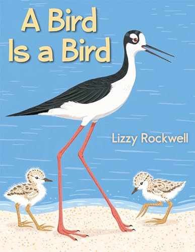 A Bird Is a Bird – Hardcover, by Rockwell Lizzy – Very Good b