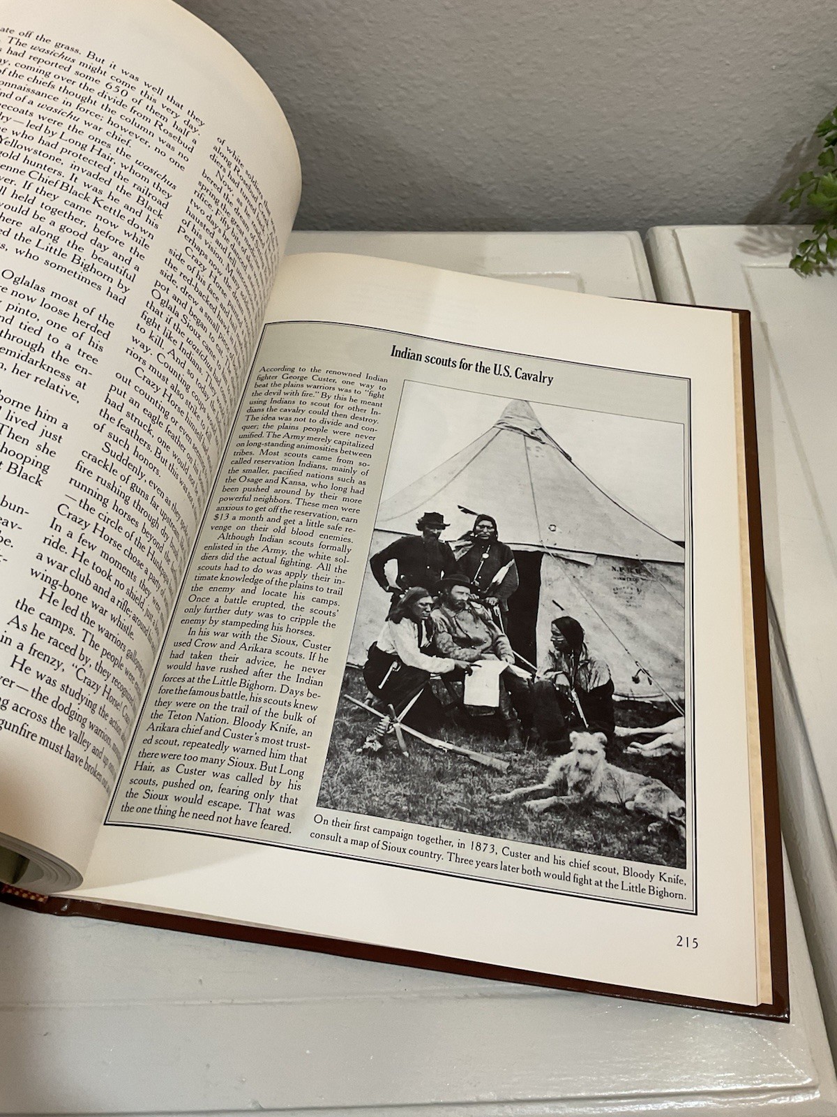 Vtg 6th Print 1981 The Old West The Indians Leather Hardcover Time Life Books